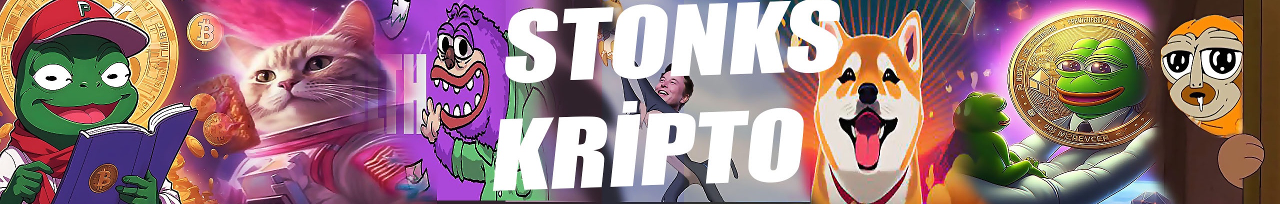 Stonks Kripto Logo